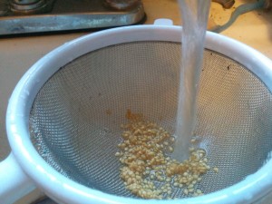 7. Step Seven - do a final rinse to make sure seeds are clean
